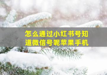 怎么通过小红书号知道微信号呢苹果手机