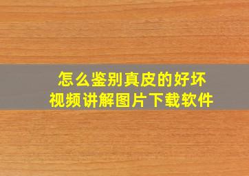 怎么鉴别真皮的好坏视频讲解图片下载软件