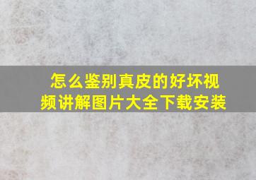 怎么鉴别真皮的好坏视频讲解图片大全下载安装