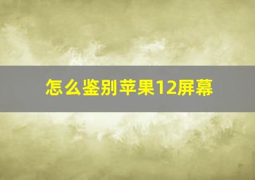 怎么鉴别苹果12屏幕