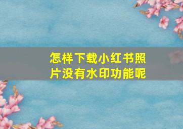 怎样下载小红书照片没有水印功能呢