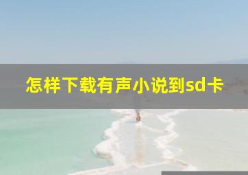 怎样下载有声小说到sd卡