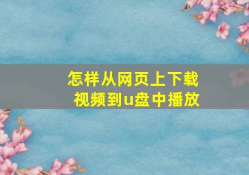 怎样从网页上下载视频到u盘中播放