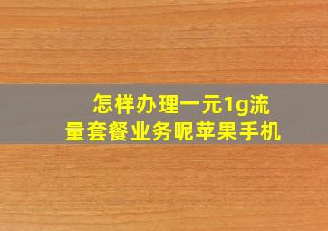 怎样办理一元1g流量套餐业务呢苹果手机