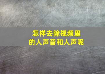 怎样去除视频里的人声音和人声呢