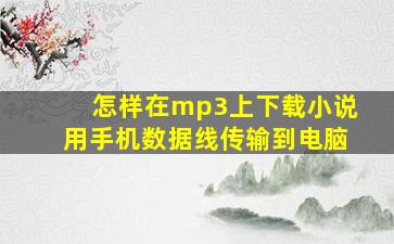 怎样在mp3上下载小说用手机数据线传输到电脑