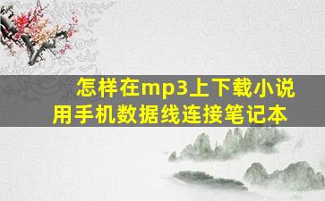 怎样在mp3上下载小说用手机数据线连接笔记本