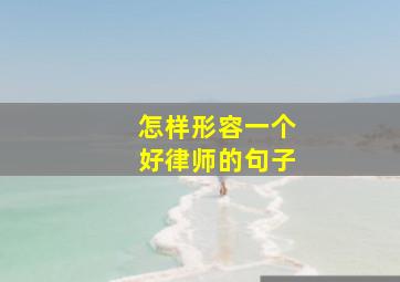 怎样形容一个好律师的句子