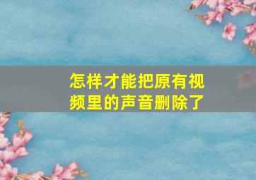 怎样才能把原有视频里的声音删除了