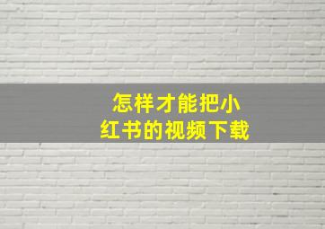 怎样才能把小红书的视频下载