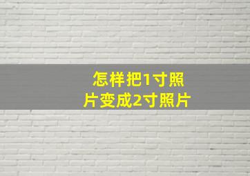 怎样把1寸照片变成2寸照片