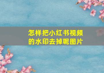 怎样把小红书视频的水印去掉呢图片