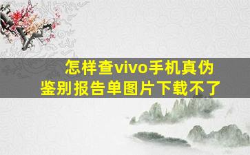 怎样查vivo手机真伪鉴别报告单图片下载不了