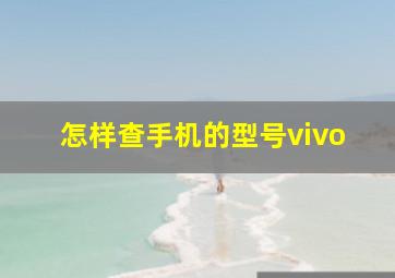 怎样查手机的型号vivo