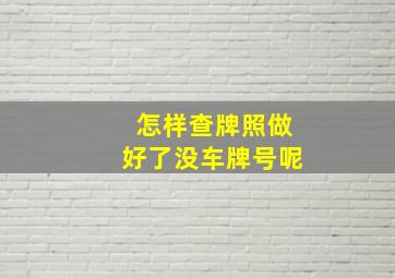 怎样查牌照做好了没车牌号呢