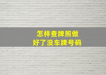 怎样查牌照做好了没车牌号码