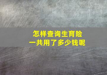 怎样查询生育险一共用了多少钱呢