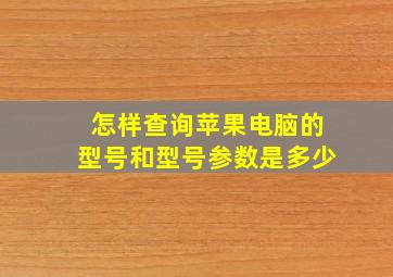 怎样查询苹果电脑的型号和型号参数是多少