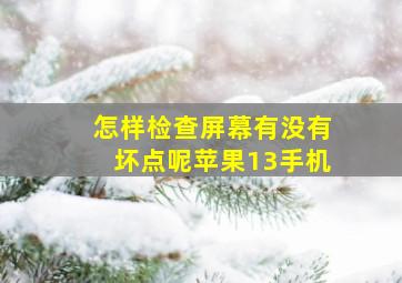 怎样检查屏幕有没有坏点呢苹果13手机