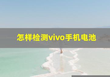 怎样检测vivo手机电池