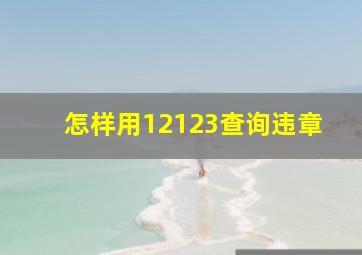 怎样用12123查询违章