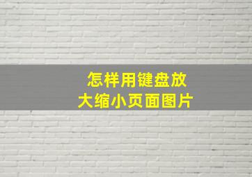 怎样用键盘放大缩小页面图片