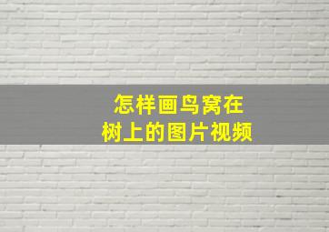 怎样画鸟窝在树上的图片视频