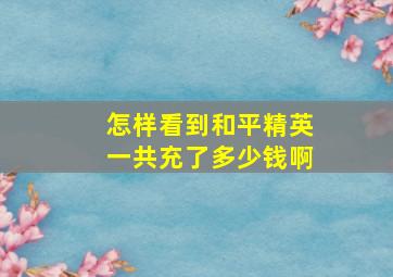 怎样看到和平精英一共充了多少钱啊