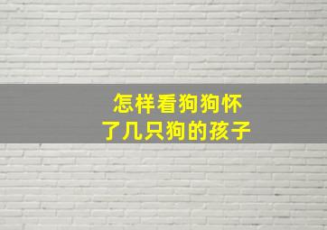 怎样看狗狗怀了几只狗的孩子