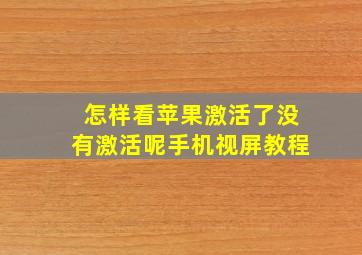 怎样看苹果激活了没有激活呢手机视屏教程