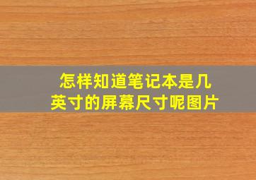 怎样知道笔记本是几英寸的屏幕尺寸呢图片