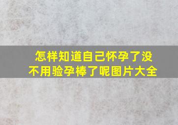 怎样知道自己怀孕了没不用验孕棒了呢图片大全