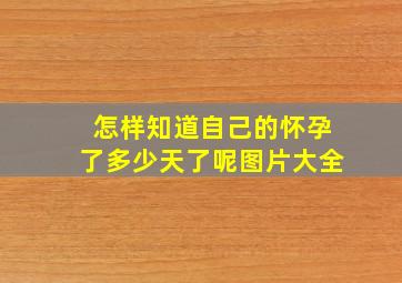 怎样知道自己的怀孕了多少天了呢图片大全