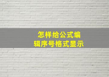 怎样给公式编辑序号格式显示