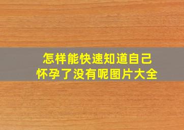 怎样能快速知道自己怀孕了没有呢图片大全