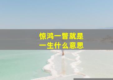 惊鸿一瞥就是一生什么意思