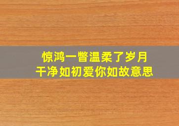 惊鸿一瞥温柔了岁月干净如初爱你如故意思