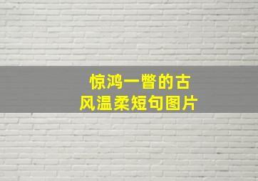 惊鸿一瞥的古风温柔短句图片