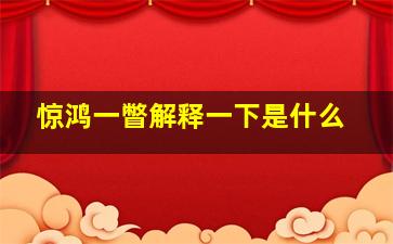 惊鸿一瞥解释一下是什么