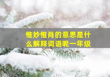 惟妙惟肖的意思是什么解释词语呢一年级