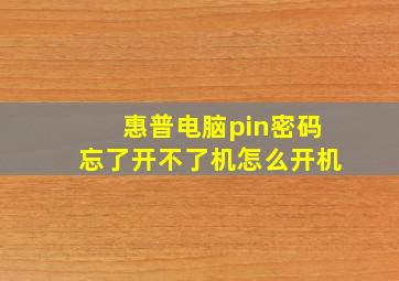 惠普电脑pin密码忘了开不了机怎么开机