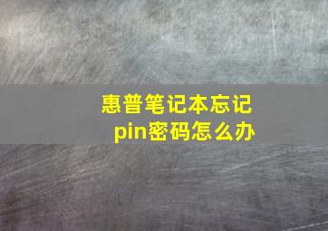 惠普笔记本忘记pin密码怎么办