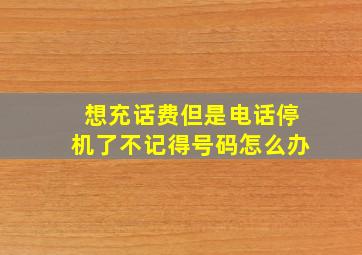 想充话费但是电话停机了不记得号码怎么办