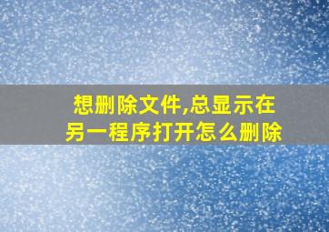 想删除文件,总显示在另一程序打开怎么删除