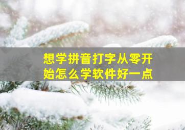 想学拼音打字从零开始怎么学软件好一点