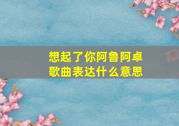 想起了你阿鲁阿卓歌曲表达什么意思