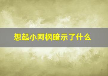 想起小阿枫暗示了什么