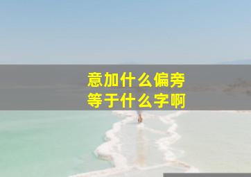 意加什么偏旁等于什么字啊