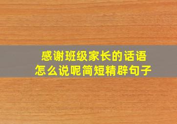 感谢班级家长的话语怎么说呢简短精辟句子