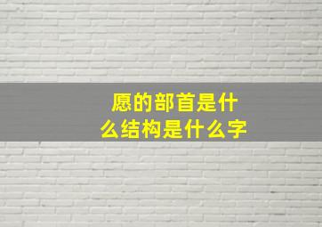 愿的部首是什么结构是什么字